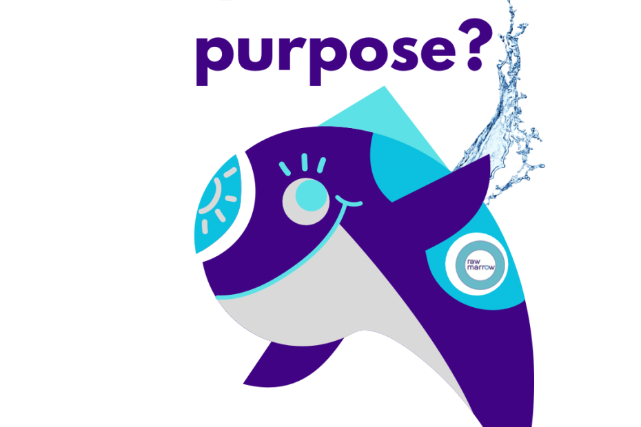 Picture of a porpoise with the words “Do you have a purpose”. Rawmarrow.